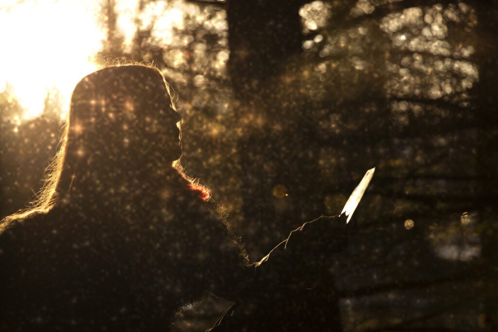 Völvan var sannspá um Söngvakeppni Sjónvarpsins