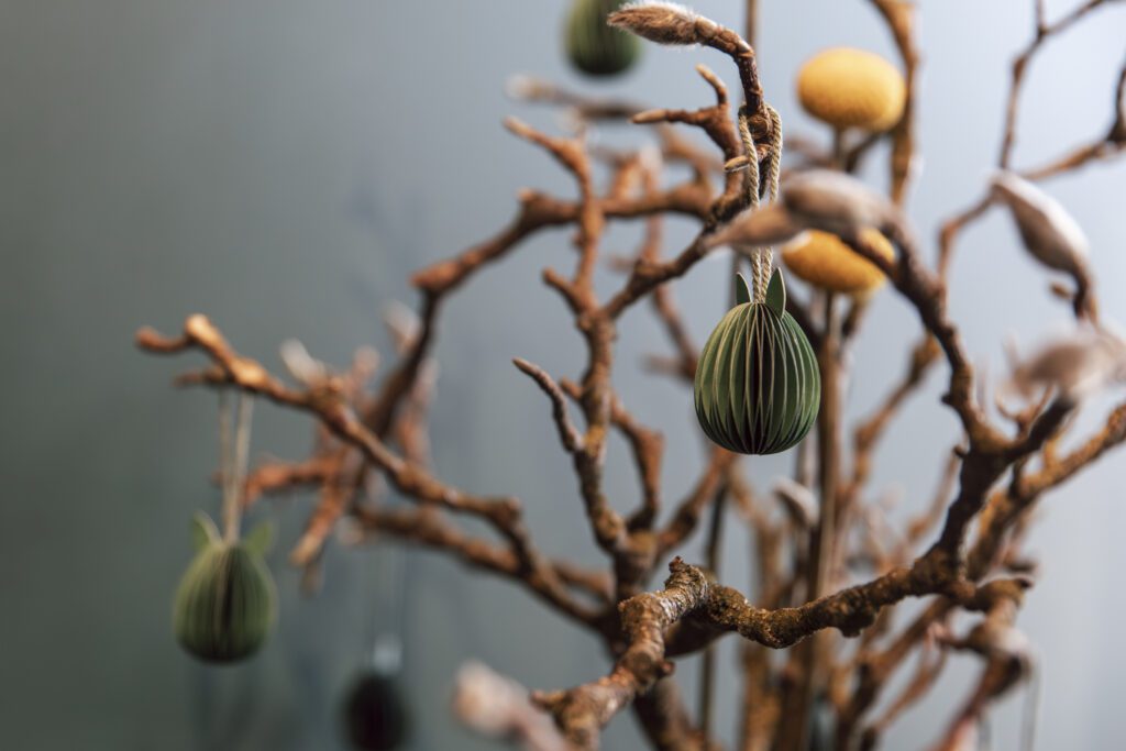 Vorið vaknar í Hæ Blóm