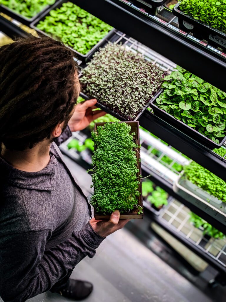 Rækta Microfarm 