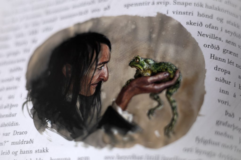 Stórkostlegur Harry Potter