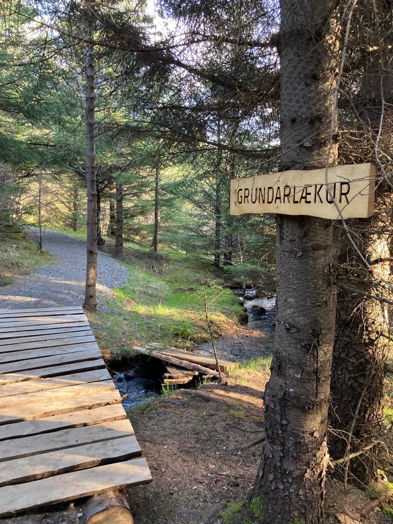 Skógarganga – Esjuhlíðar