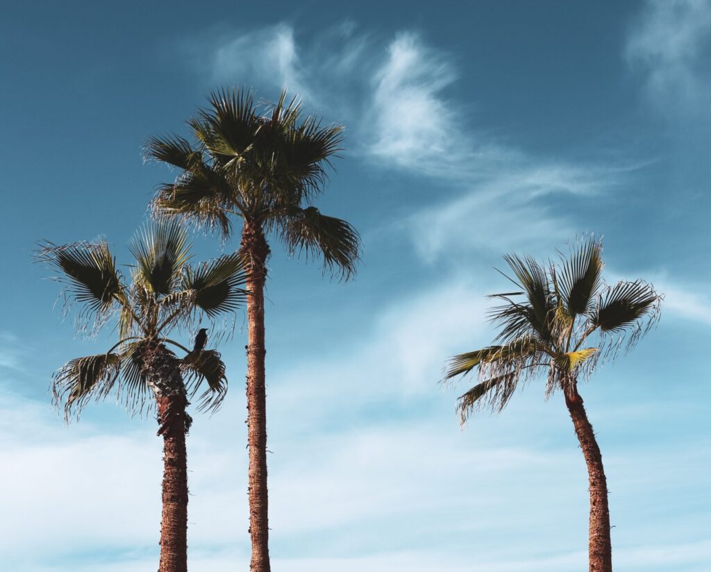 Los Angeles, borg engla og Barbie