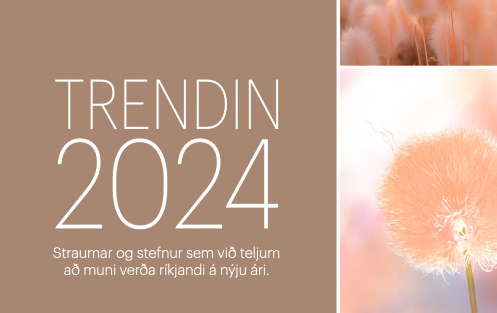 Trendin 2024