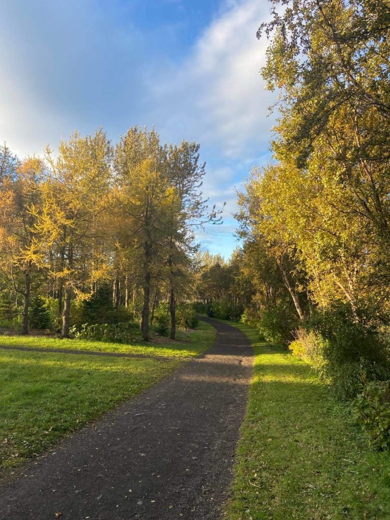 Umhverfi og vellíðan