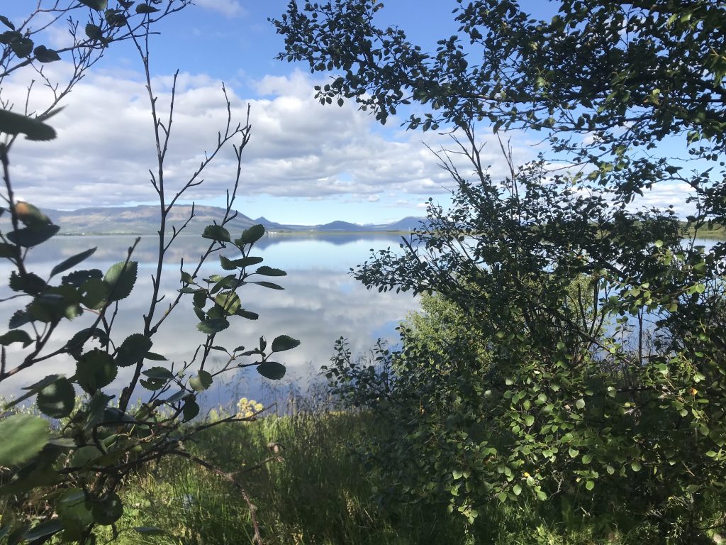 Lífið er núna!
