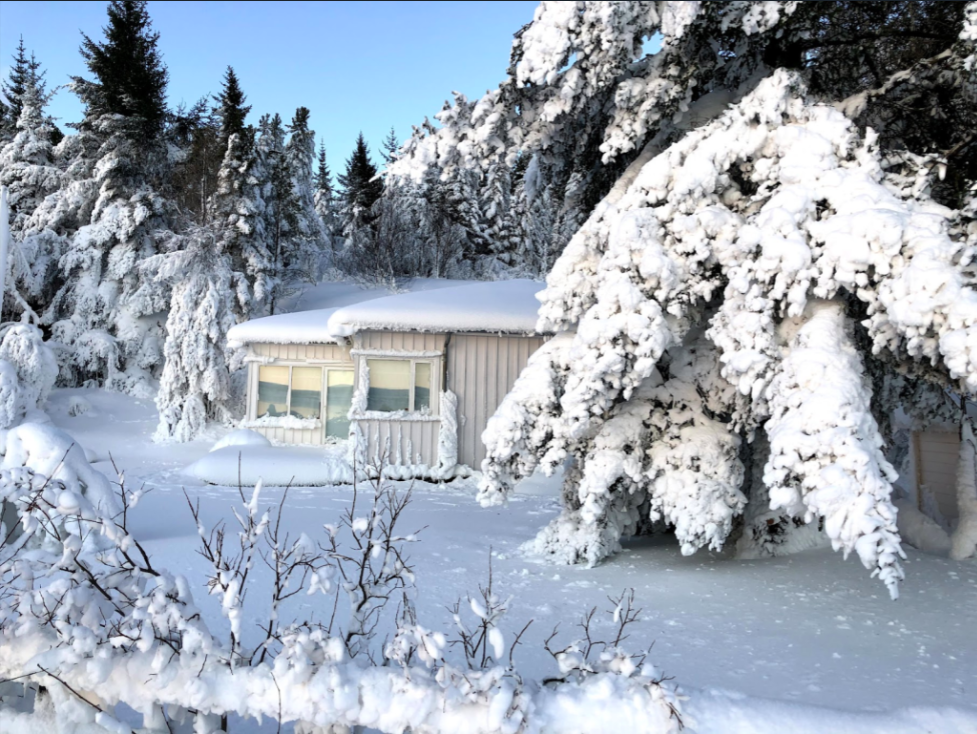 Óteljandi gleðistundir