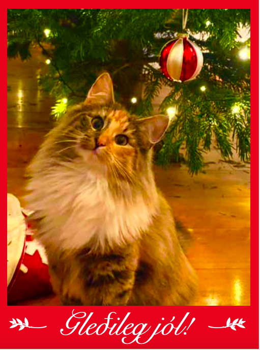 Ljós, ylur og jólaandi