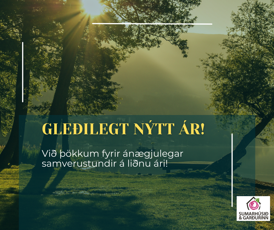Gleðilegt nýtt ár kæru lesendur!
